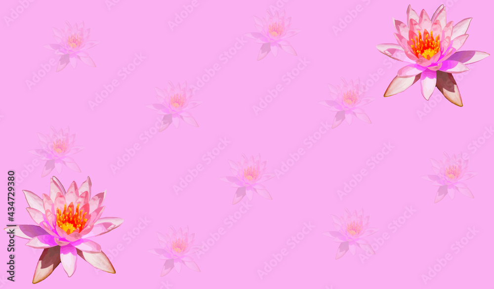 Lotus copy space background 1 , flower background for copy space and decorate your work