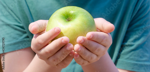 Child two hands hold apple on white background. Toddler's hands and fresh fruit top view. Flat lay diet and healthy food concept. place for text