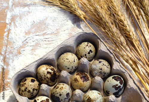 a package with many speckled quail eggs next to wheat ears on a wooden board sprinkled with flour. Organic food, subsistence farming, village life.