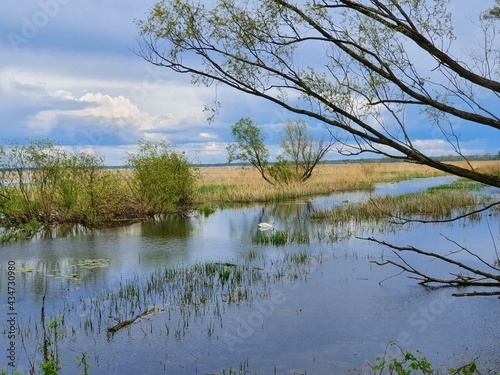 Warta Mouth National Park. Spring backwaters between the Warta and Odra rivers, near Kostrzyn on the Oder.