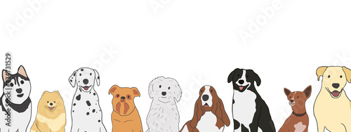 Row of different types of small medium and large mixed breed dogs on a horizontal web banner. Obedience, pet care concept. Isolated on white background