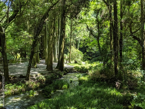nature