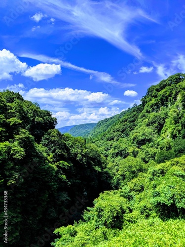 nature
