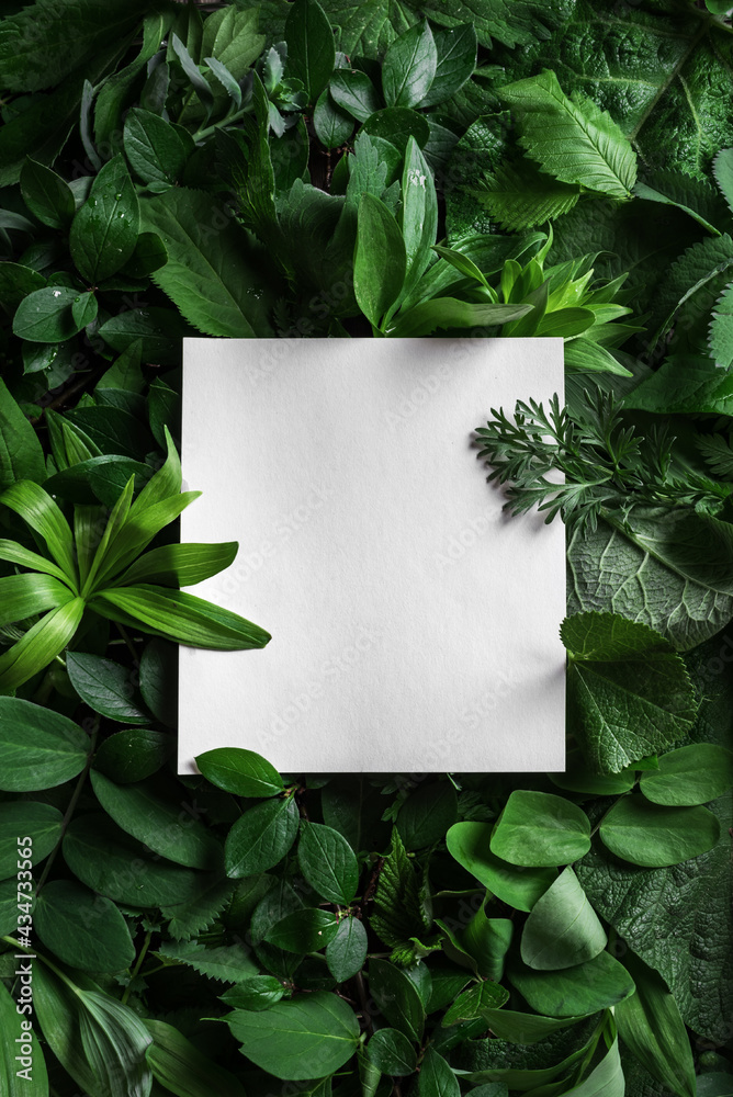 Green leaves and paper blank card