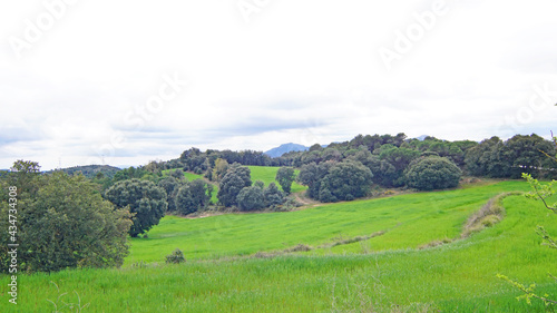 Granera, Comarca del Moyanes, Barcelona, Catalunya, España, Europa 