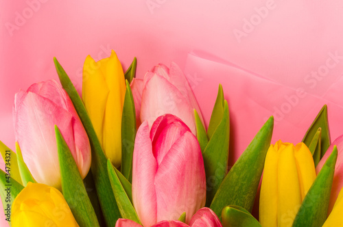 Fototapeta Naklejka Na Ścianę i Meble -  Background for a greeting card - a bouquet of fresh pink and yellow tulips