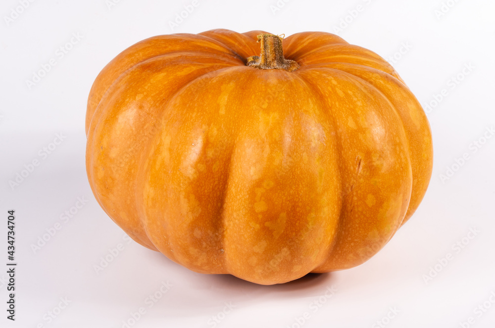 Fototapeta premium Whole fresh orange big pumpkin on white background, closeup. Organic agricultural product, ingredients for cooking, healthy food vegan.