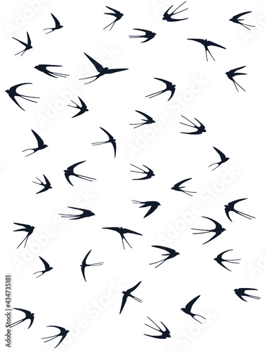 Flying swallow birds silhouettes vector illustration. Nomadic martlets flock isolated on white.