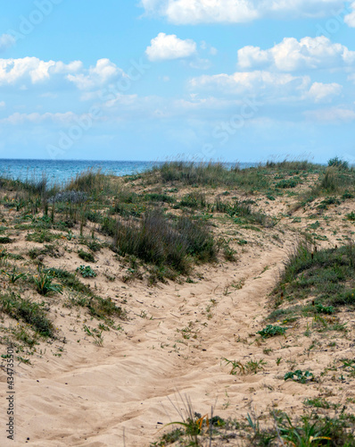 Andalusian beach