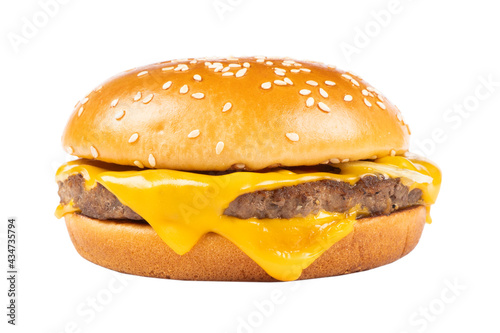 Obraz na plátně Delicious grilled burger isolated on white background