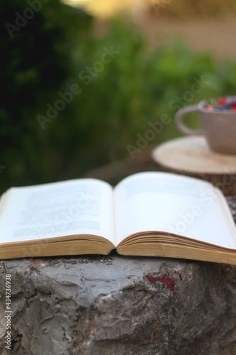 Bowl of blueberries and strawberries and open book in a garden. Selective focus.