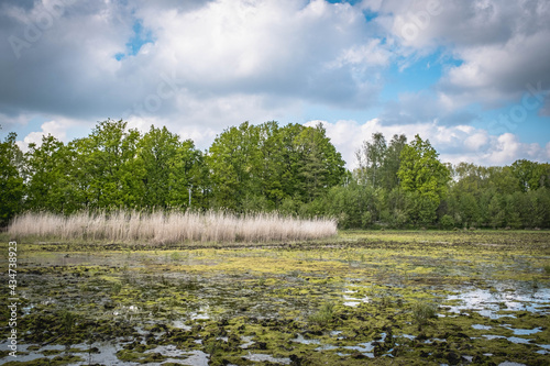landscape with lake and clouds