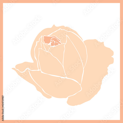 Orange rose sign in frame isolated on white background. Simple outline stylized beige flower icon, vector eps 10