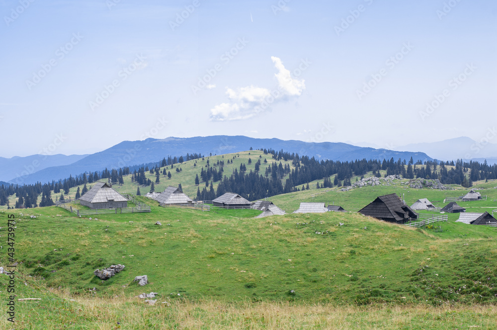 Naklejka premium authentic slovenian wooden huts in a green alpine valley for seasonal horned cattle grazing