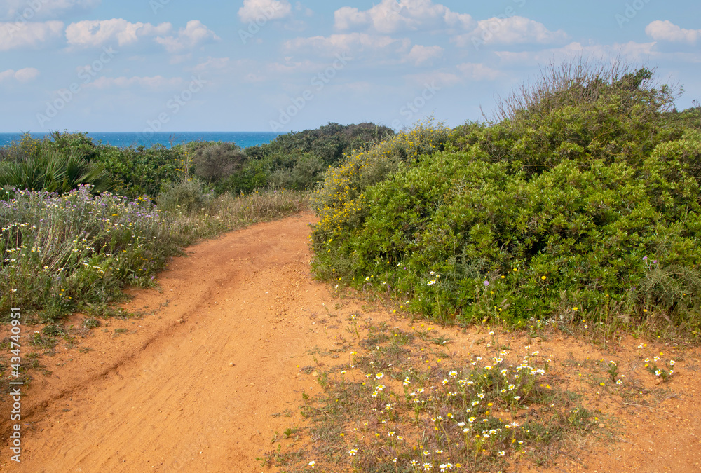 Meadows near the coast