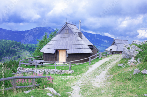 authentic slovenian wooden huts in a green alpine valley for seasonal horned cattle grazing