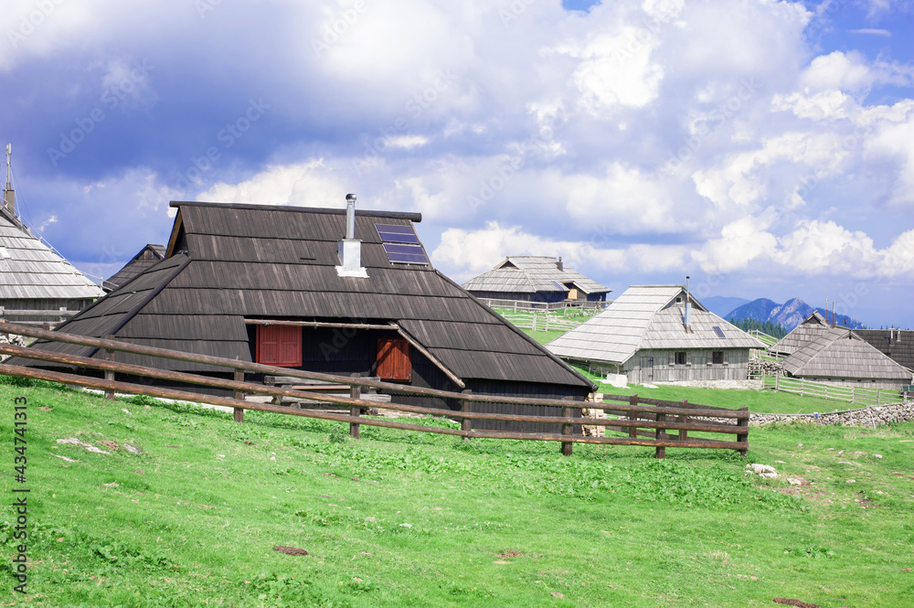 authentic slovenian wooden huts in a green alpine valley for seasonal horned cattle grazing