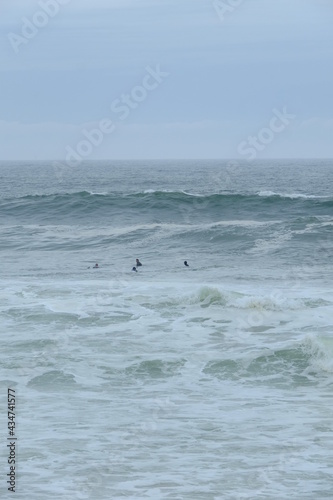 Wallpaper Mural Some surfers enjoying big waves at la Govelle surf spot on the french Atlantic shore. France, city: Batz-sur-mer, the 9th may 2021. Torontodigital.ca