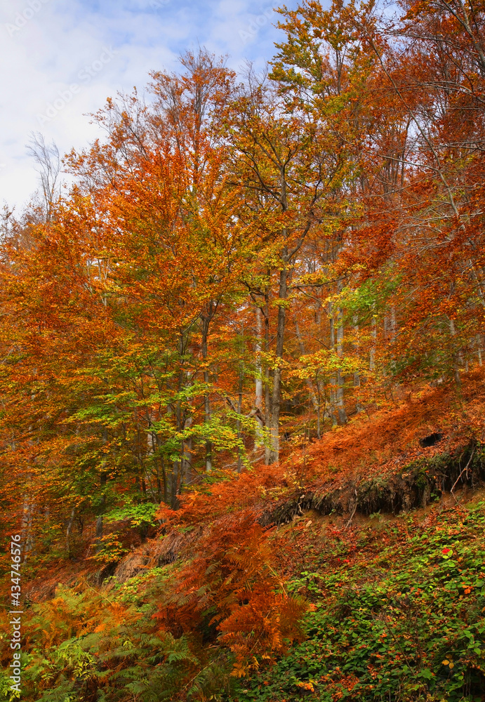 Radan mountain near Prolom Banja.  Serbia