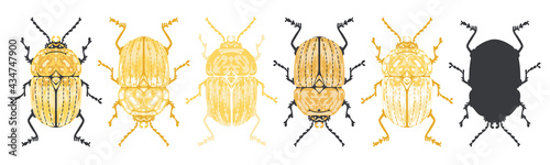 Set of stylised, detailed, beetle insect, vector illustrations, isolated on a white background.