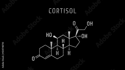 Cortisol Molecular Structure Symbol Sketch or Drawing on black background