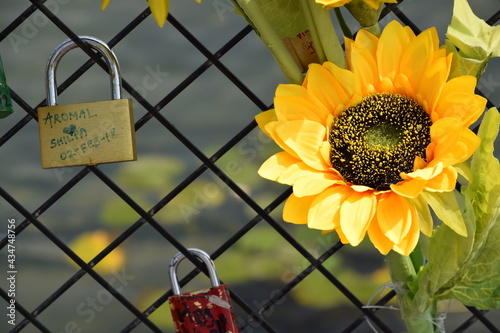 Sunflower Padlock