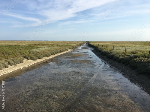 In diesem Priel auf der Wattseite der Insel Langeoog ist nur sehr wenig Wasser.
