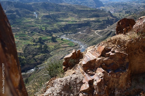 La Croce del condor è un belvedere a metà cammino tra Chivay e Cabanaconde, sulla strada della Valle del Colca. Dall'alto del burrone si possono osservare questi enormi animali planare maestosamente t photo