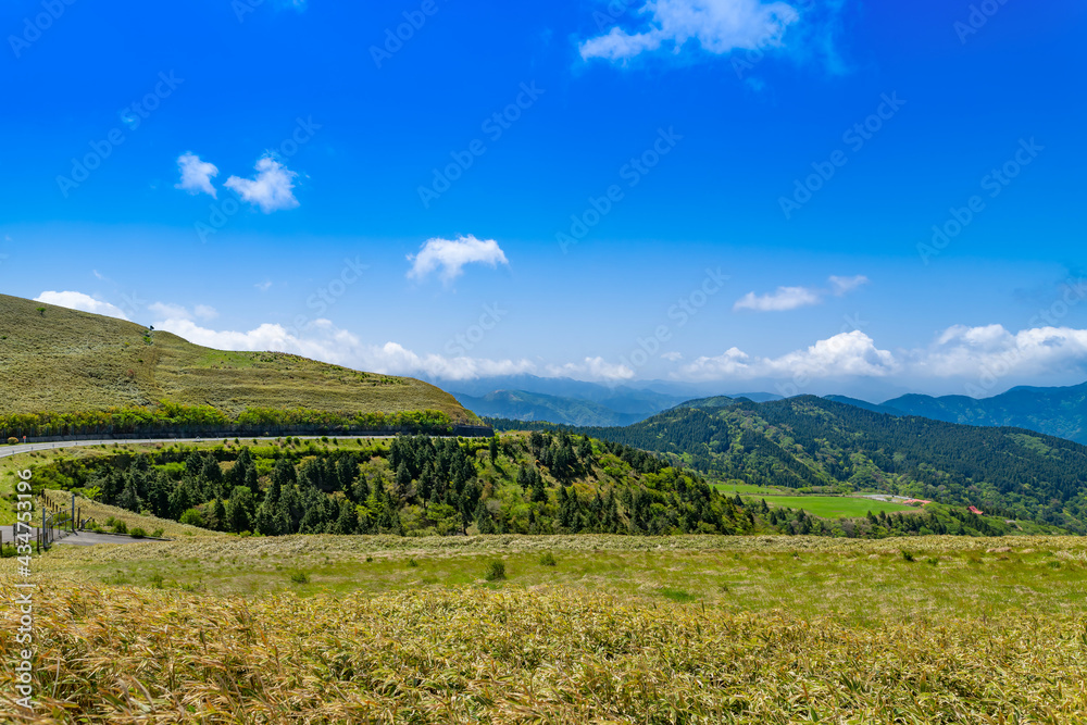 Naklejka premium 静岡県伊豆市仁科峠の風景