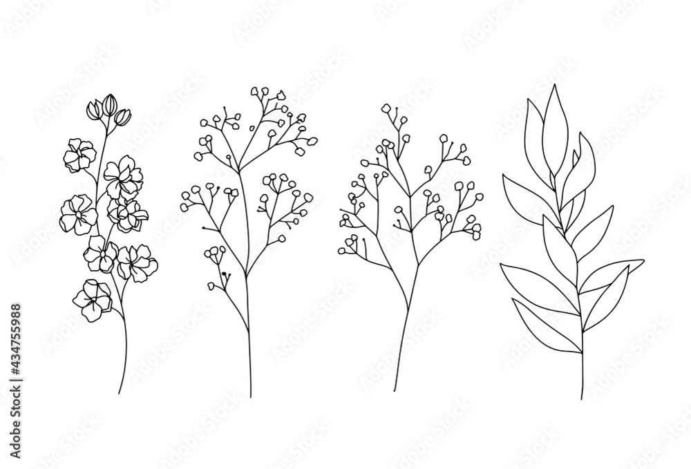 Flowers and leaves branches hand drawn sketch black and white line art illustration Flowers and leaves branches hand drawn sketch black and white line art illustration