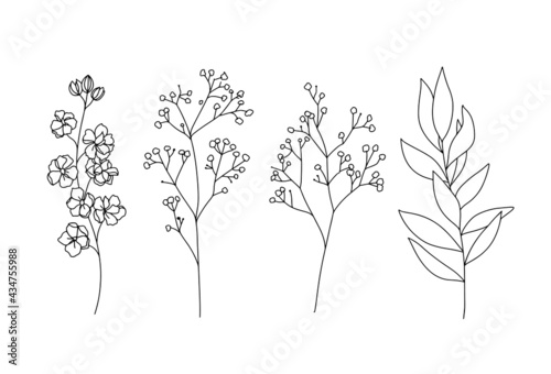 Flowers and leaves branches hand drawn sketch black and white line art illustration
