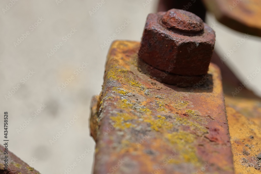 Rusty nut Rusty nut