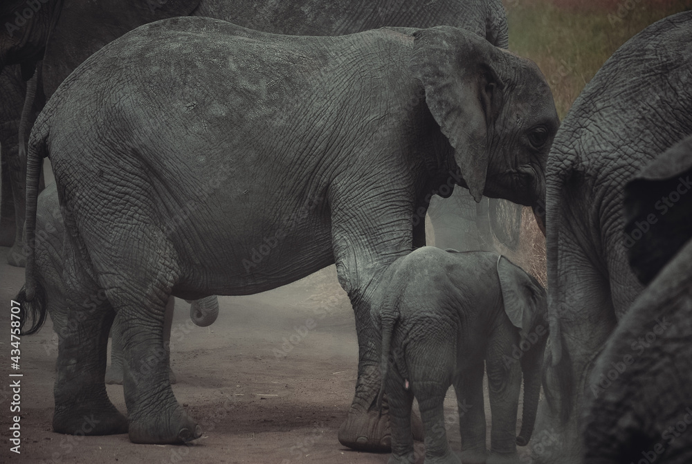 Naklejka premium Tanzania