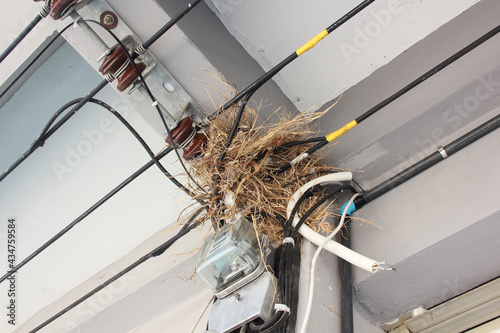 Bird's nest on the electric wire look dirty and danger of fire