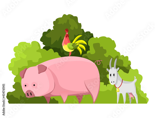 Agriculture industry.  illustration of national treasure pet animal. Illustration of domestic animals pig  goat cock