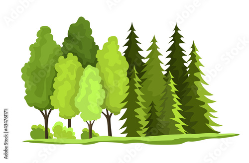 Green forest.  illustration of national treasure wooden. Illustration of renewable resource