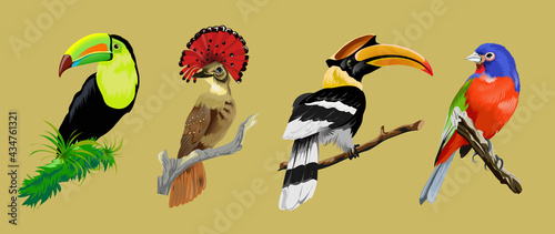 Set with bright tropical rare birds. Toucan, Hornbill, Crowned fly-eater, multicolor tropical bright bird. Collection corofull cute birds siting on the branch. Vector illustration.Isolated