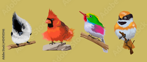 Set with little bright tropical rare birds. Multicolor tropical bright birds. Rainbow bird, big tuft, red breast. Collection clorofull cute birds siting on the branch. Vector illustration.Isolated