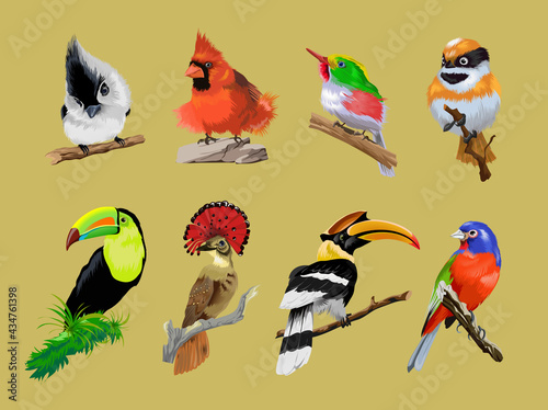 Set with bright tropical rare birds. Toucan, Hornbill, Crowned fly-eater, multicolor tropical bright bird. Collection corofull cute birds siting on the branch. Vector illustration.Isolated