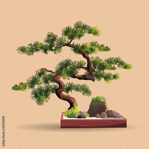 Beautiful realistic tree.Tree in bonsai style. Bonsai tree on the red box. Decorative little tree vector illustration. Nature art