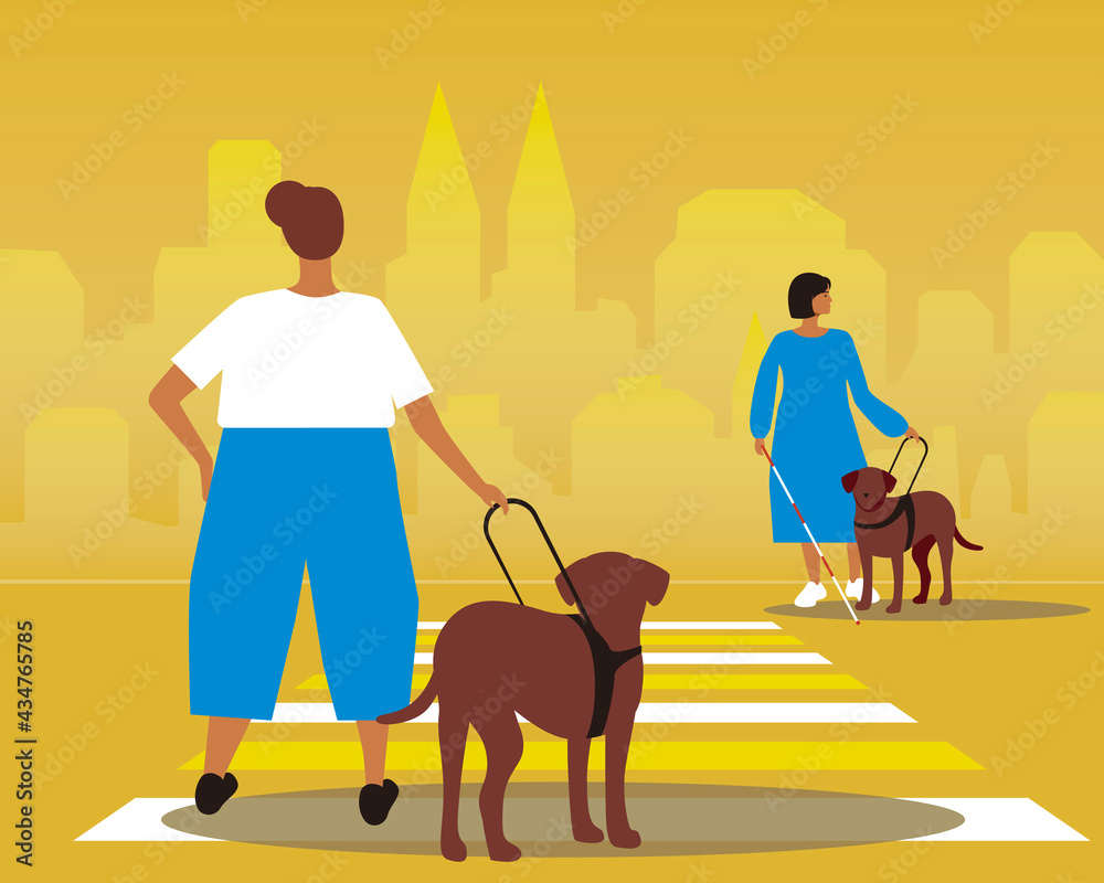 Disabled people with guide dogs, flat vector stock illustration with blind people crossing the road with lobrador dog Disabled people with guide dogs, flat vector stock illustration with blind people crossing the road with lobrador dog