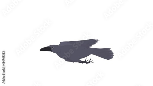 Raven. Crow bird animation, alpha channel enabled. Cartoon