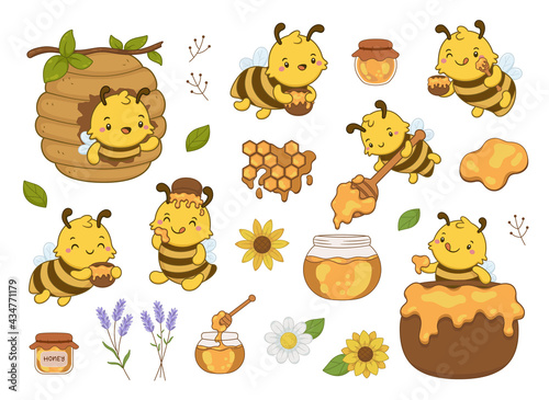 Honey bee