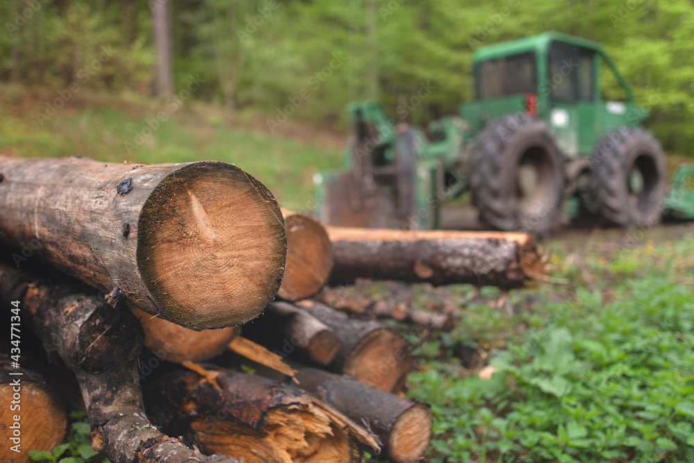 A pile of felled trees in a forest with a logging tractor in the background. A pile of felled trees in a forest with a logging tractor in the background.