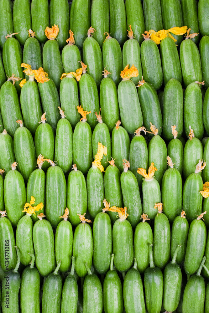 Cucumber background Cucumber background