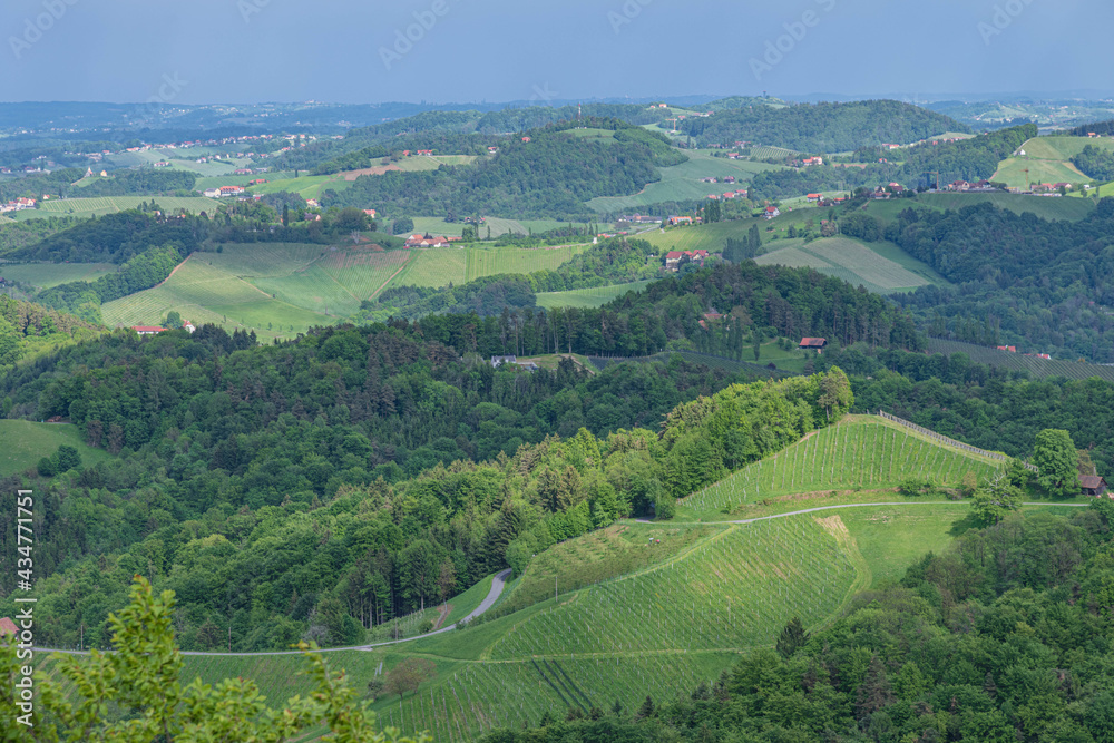 Obraz premium Hügellandschaft in der Südweststeiermark
