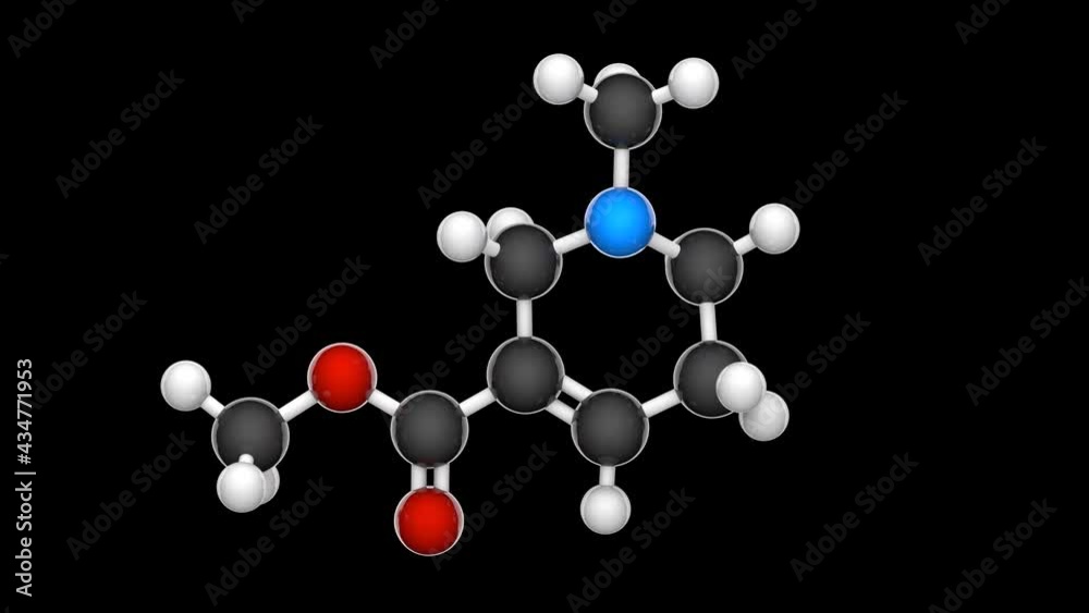 Arecoline (C8H13NO2) is a nicotinic acid-based mild stimulant alkaloid found in the areca nut. Chemical structure model: Ball and Stick. 3D render. Seamless loop. Black background Arecoline (C8H13NO2) is a nicotinic acid-based mild stimulant alkaloid found in the areca nut. Chemical structure model: Ball and Stick. 3D render. Seamless loop. Black background