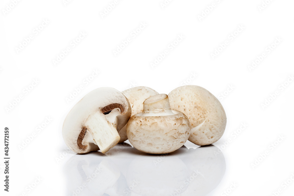Mushroom on white Mushroom on white