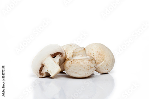 Mushroom on white