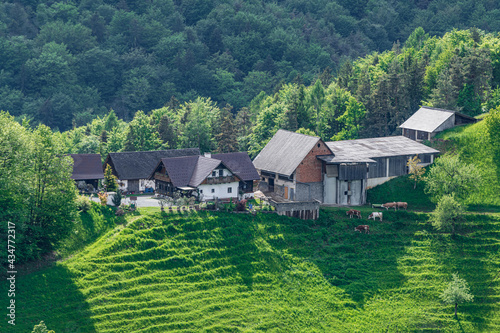 Bauernhof in der Südweststeiermark